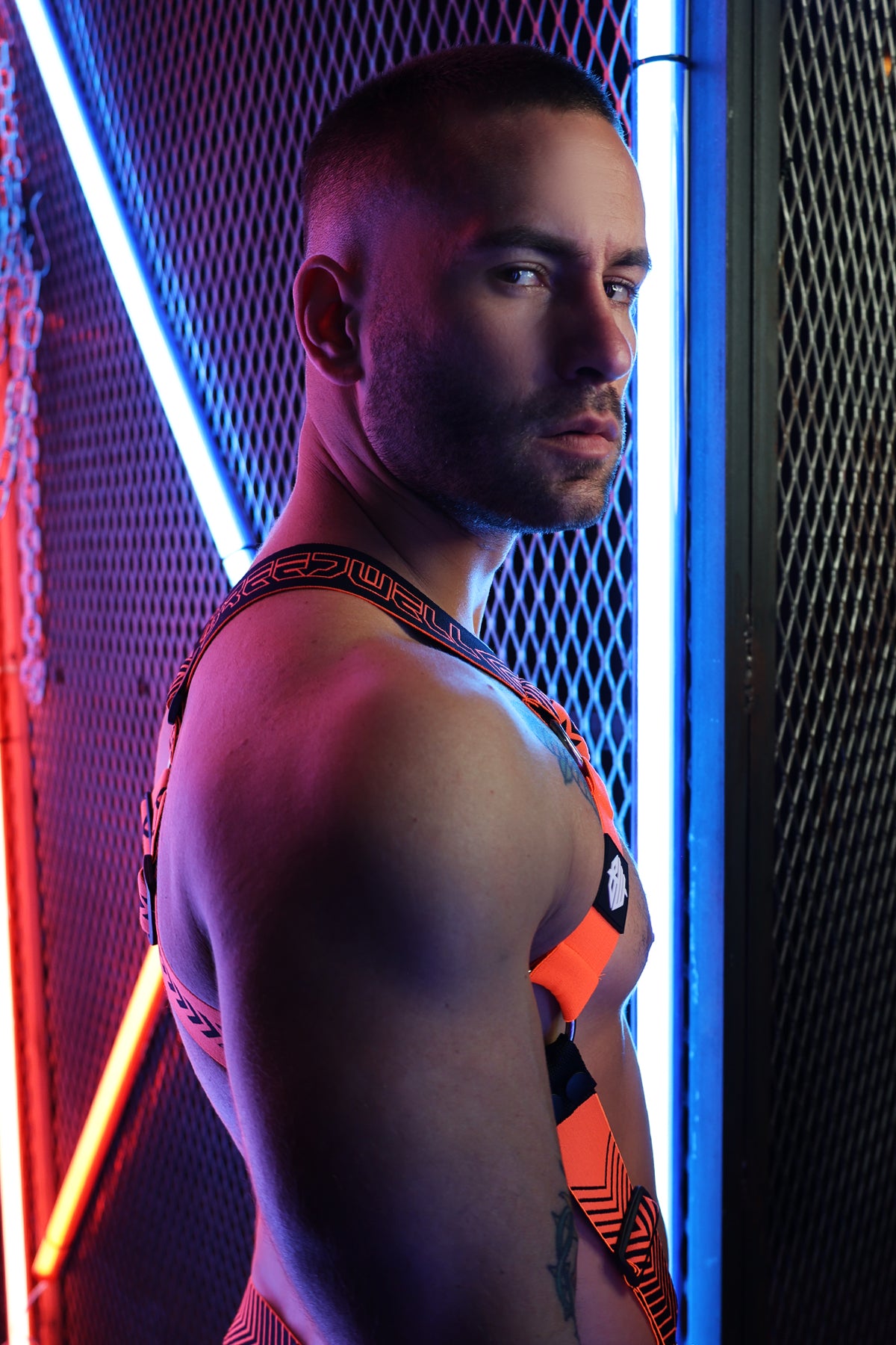 Breedwell Futura Body Harness