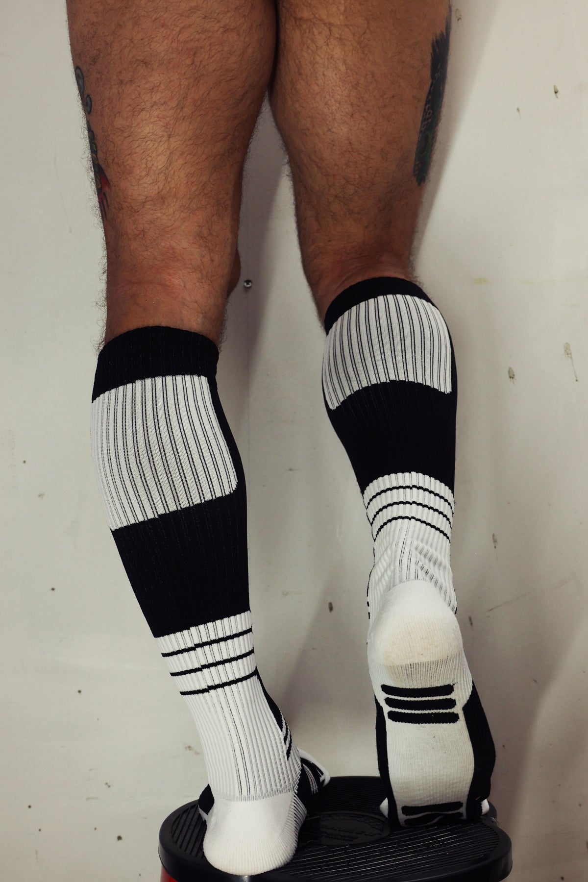 Breedwell Hypnotix Socks