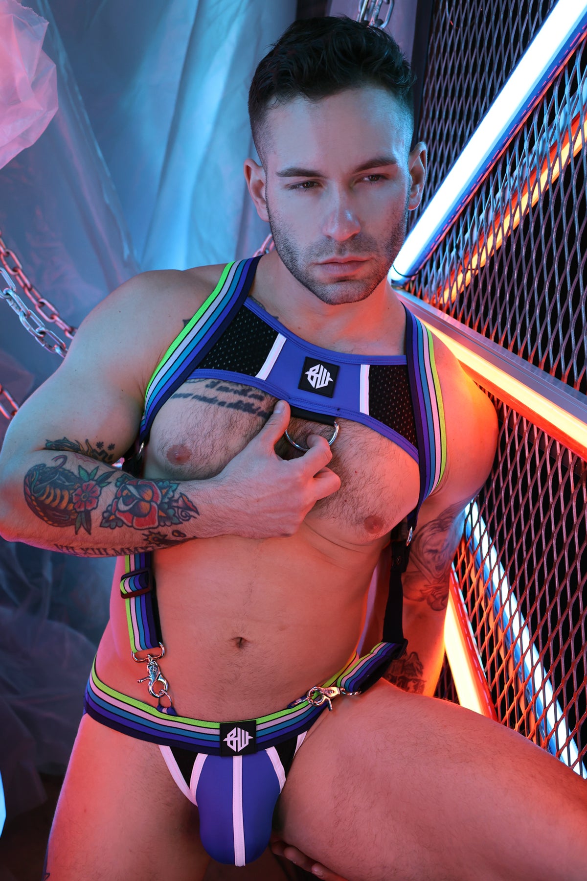Breedwell Retro Remix Harness