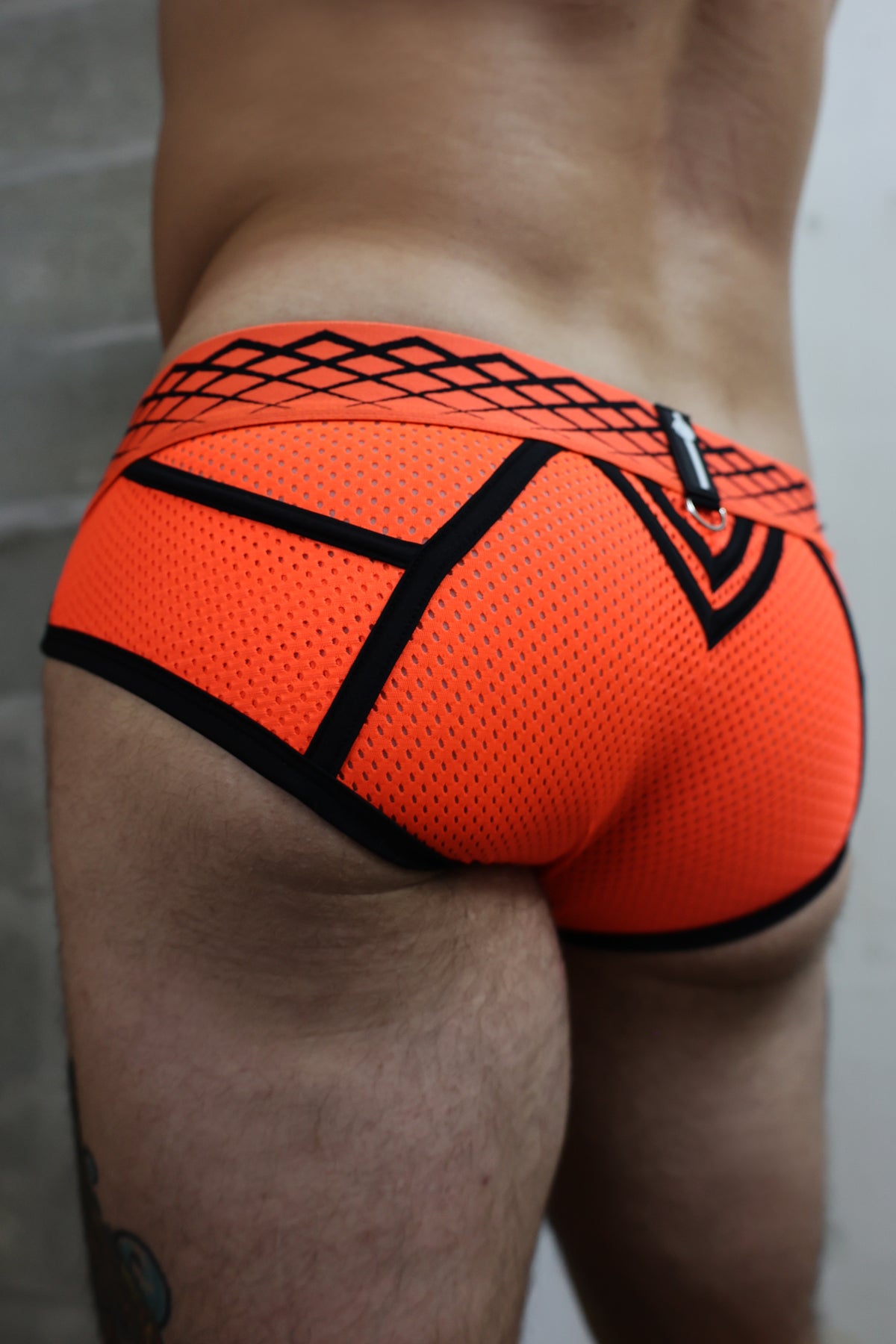 Breedwell Revolution Brief