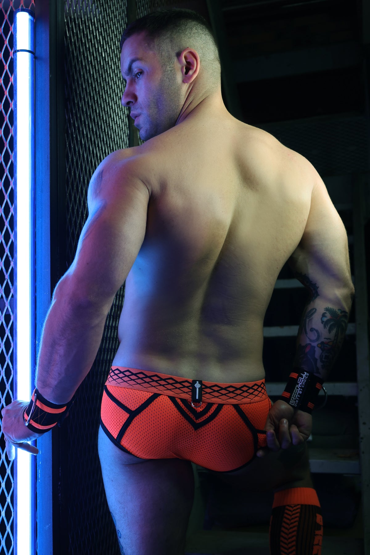 Breedwell Revolution Brief