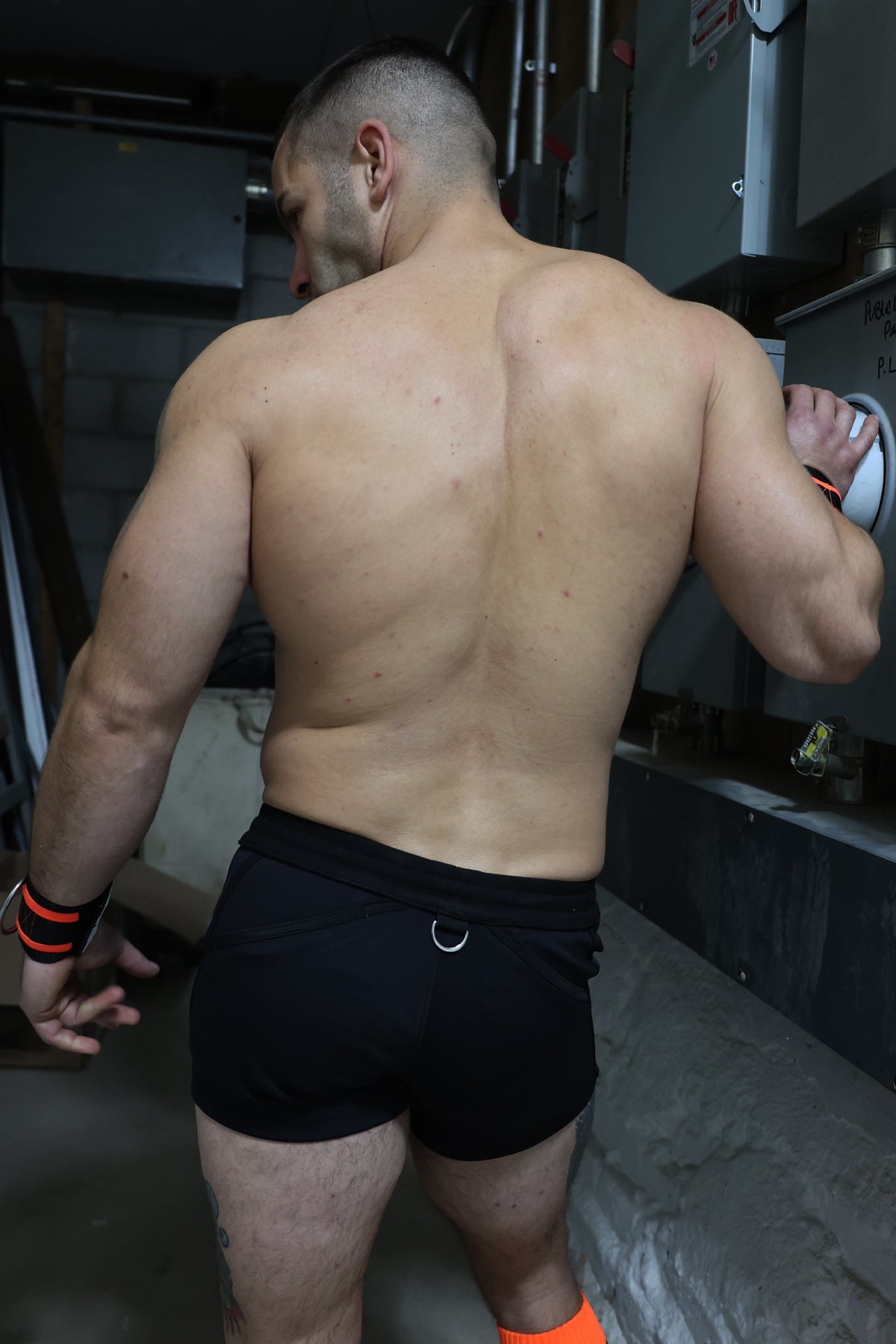Breedwell Revolution Shorts