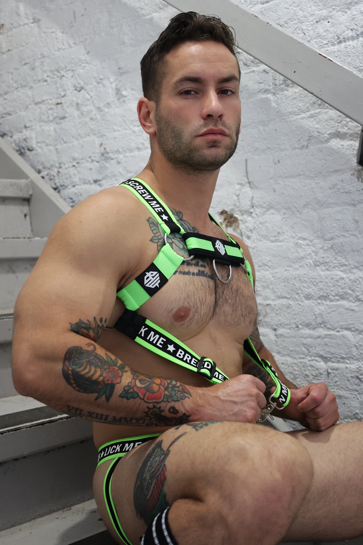 Breedwell Snax Body Harness