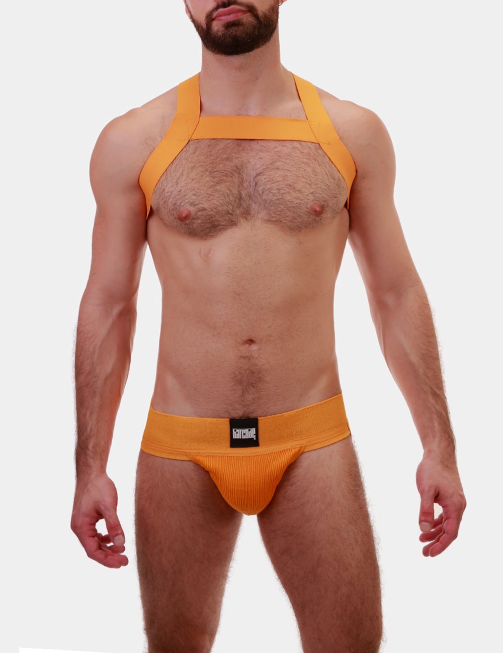 Barcode Berlin Harness Matt - Jockstraps.com