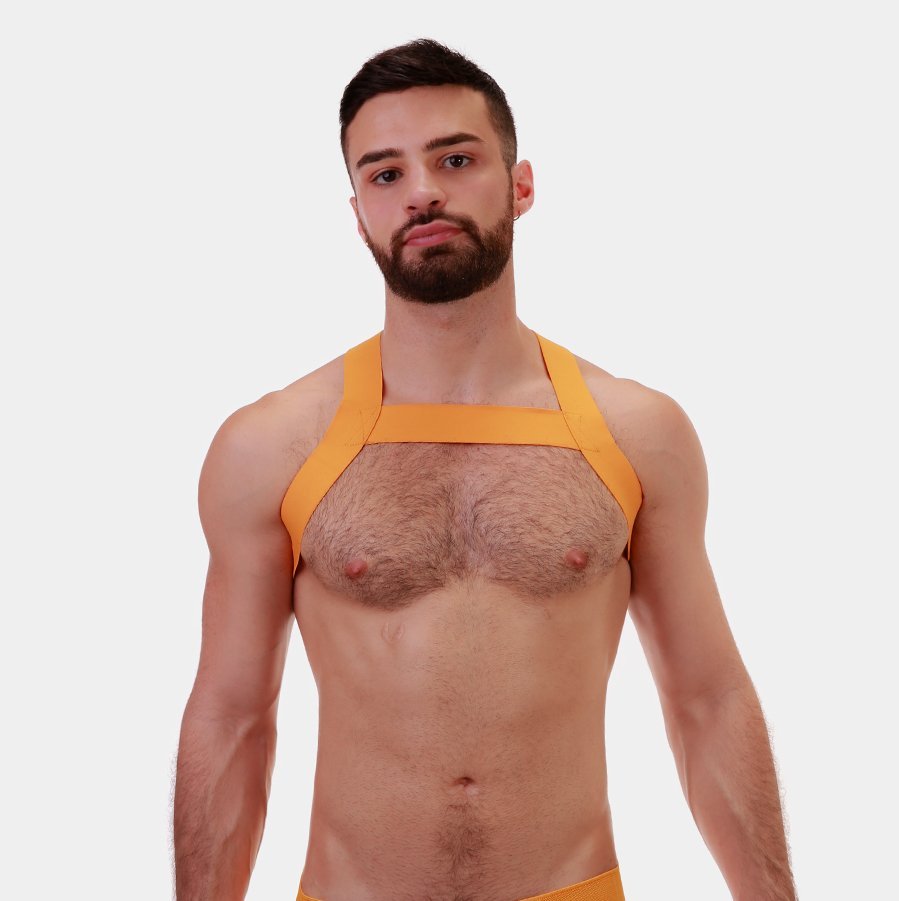 Barcode Berlin Harness Matt - Jockstraps.com