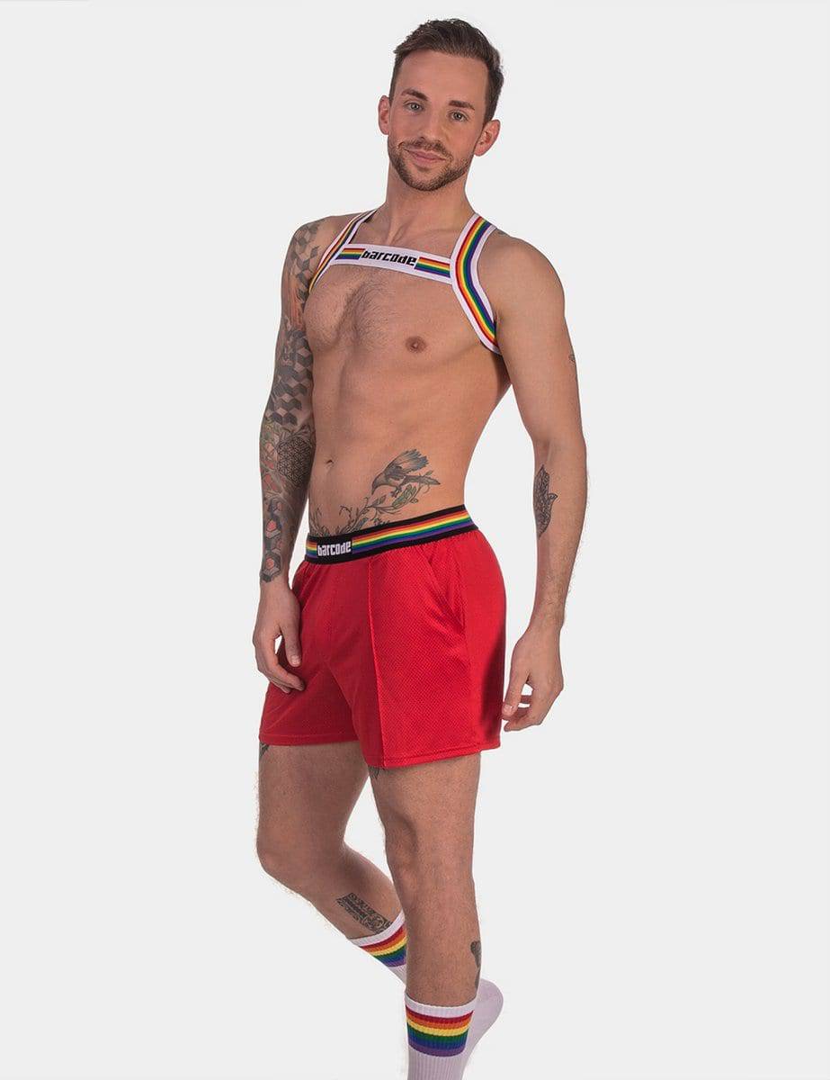 Barcode Berlin Harness Pride - Jockstraps.com