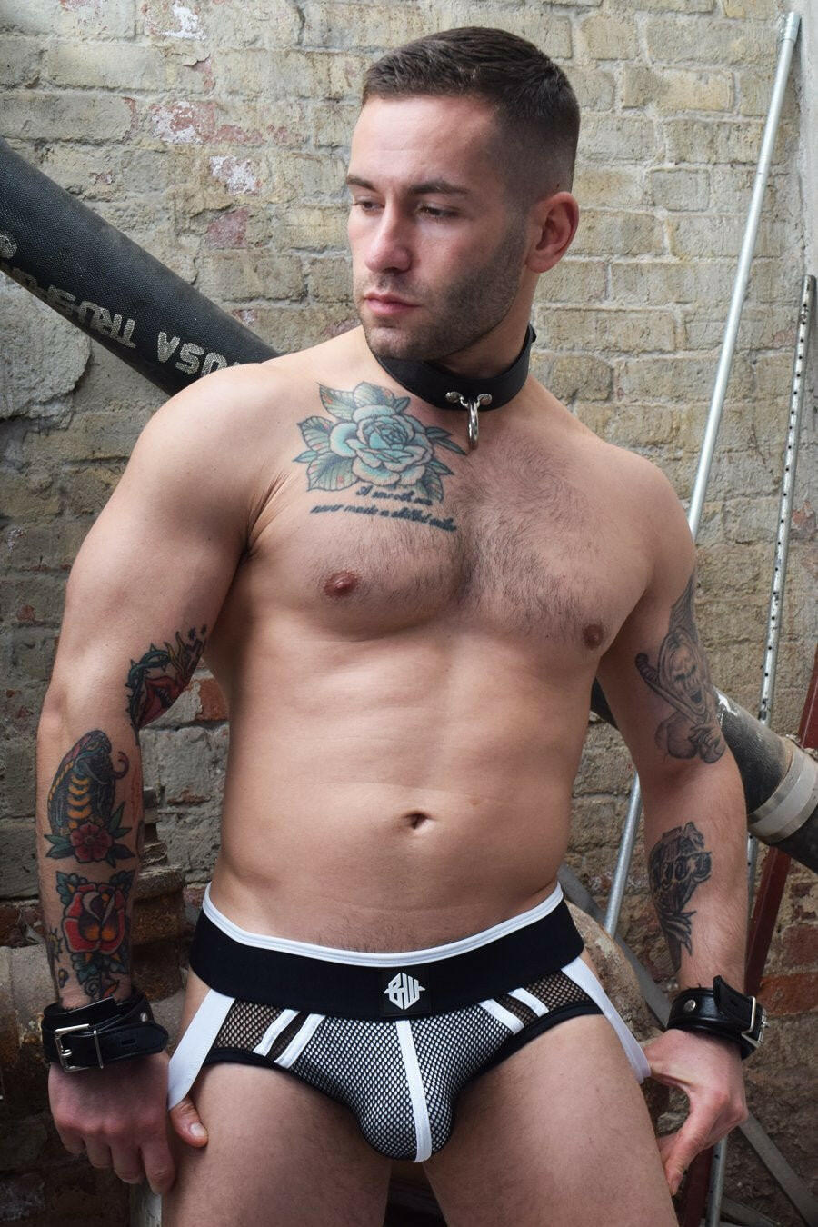Breedwell Axel Jock - Jockstraps.com
