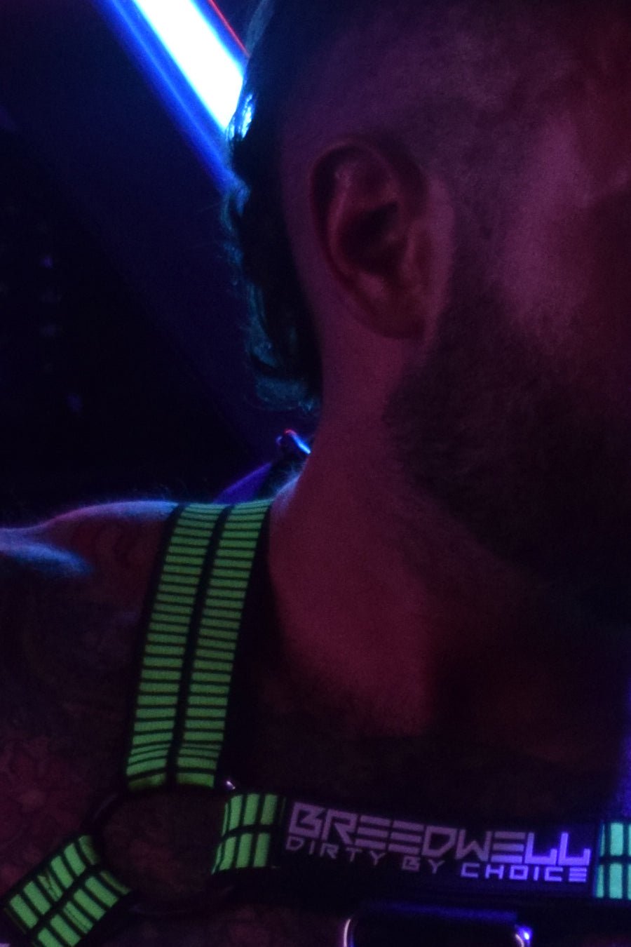 Breedwell Hybred Body Harness - Jockstraps.com