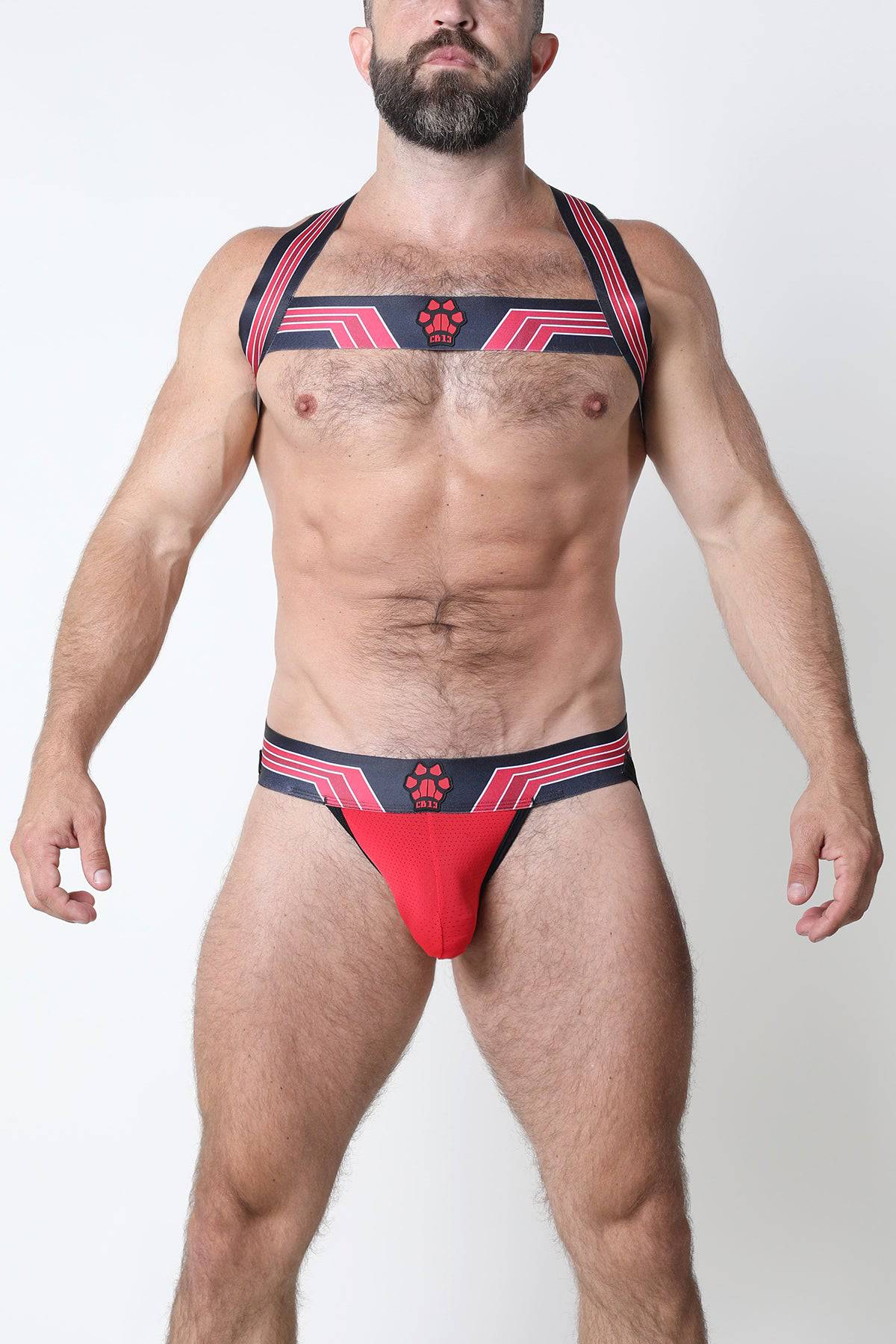 CellBlock 13 Kennel Club Bandit Harness - Jockstraps.com