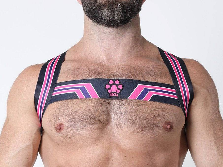 CellBlock 13 Kennel Club Bandit Harness - Jockstraps.com