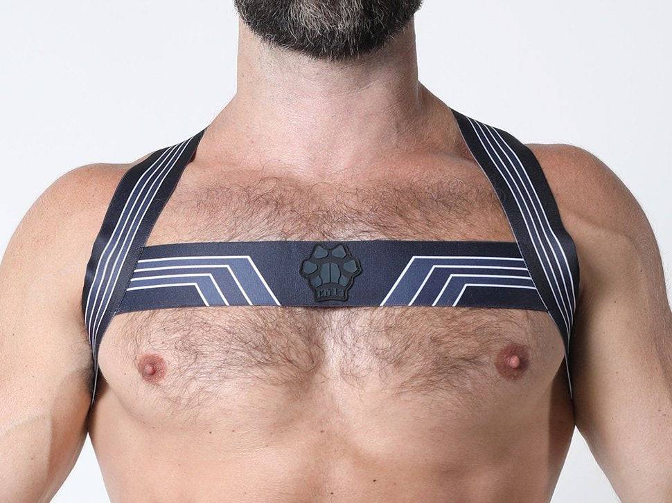 CellBlock 13 Kennel Club Bandit Harness - Jockstraps.com