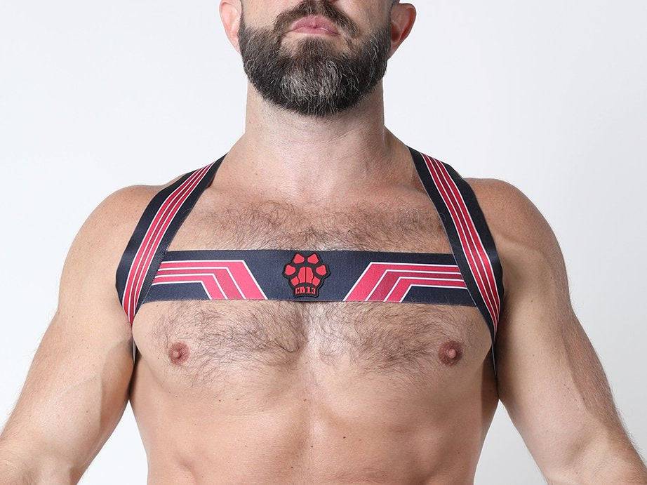 CellBlock 13 Kennel Club Bandit Harness - Jockstraps.com