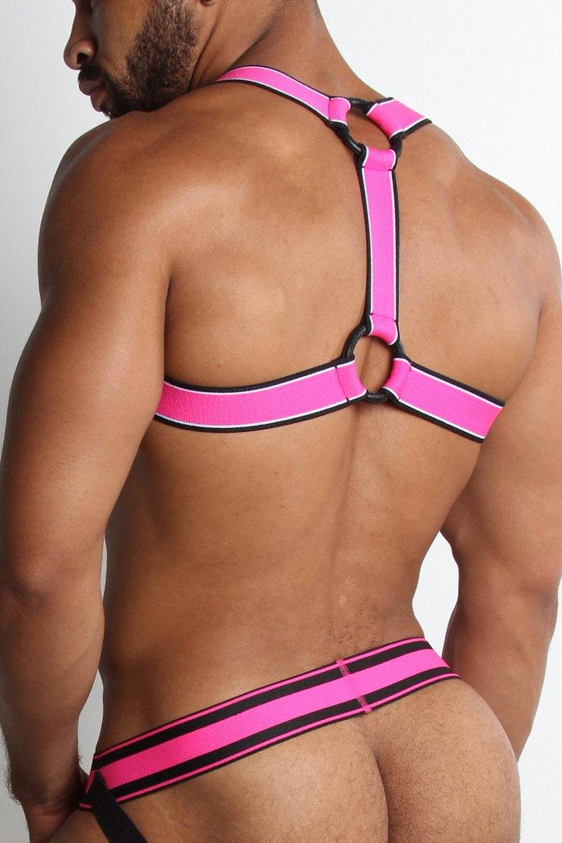 CellBlock 13 Kennel Club Scout Harness - Jockstraps.com