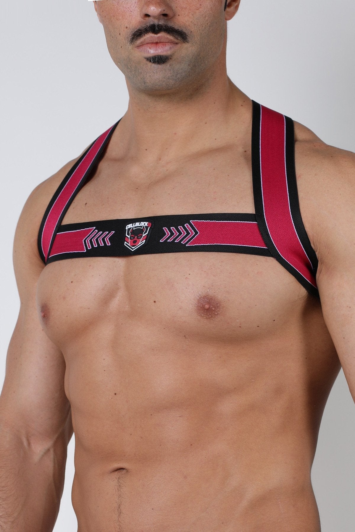 Cellblock 13 Kennel Club Spitfire Elastic Harness - Jockstraps.com