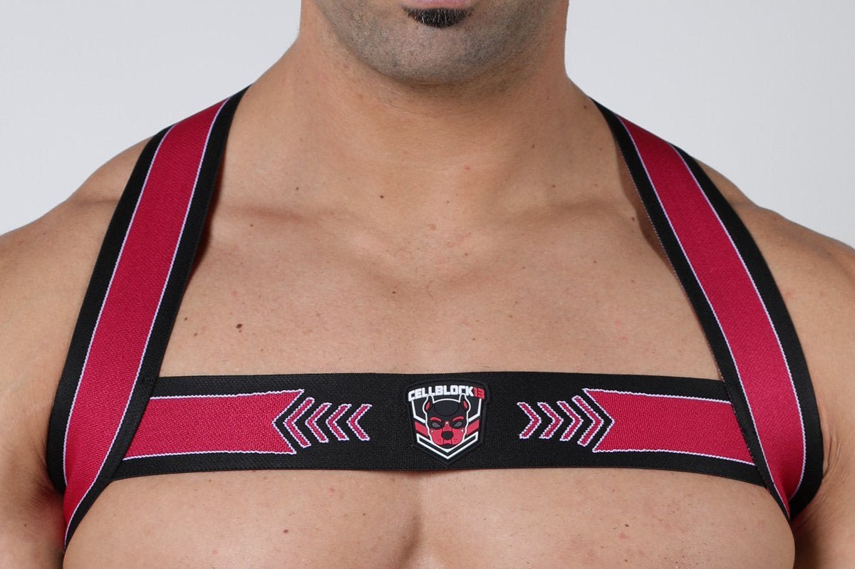 Cellblock 13 Kennel Club Spitfire Elastic Harness - Jockstraps.com