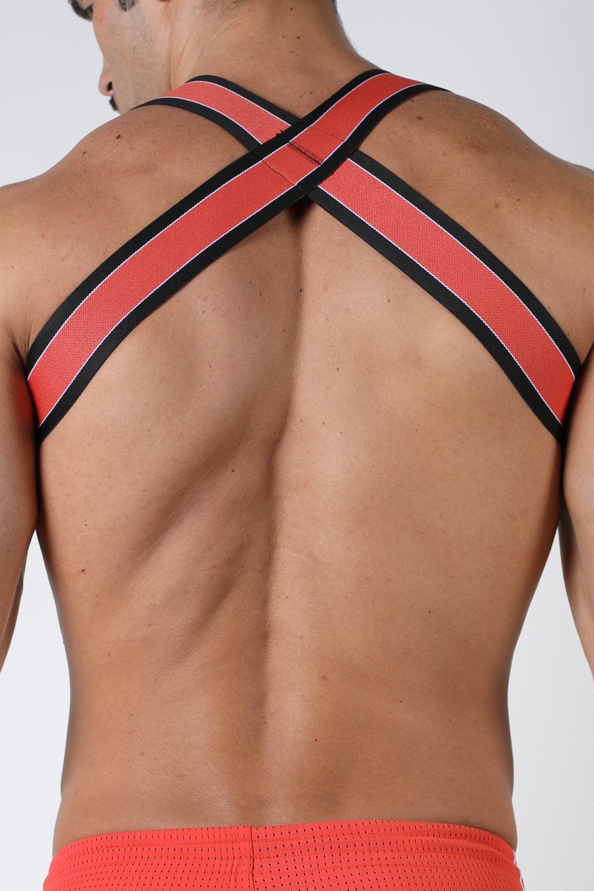 Cellblock 13 Kennel Club Spitfire Elastic Harness - Jockstraps.com