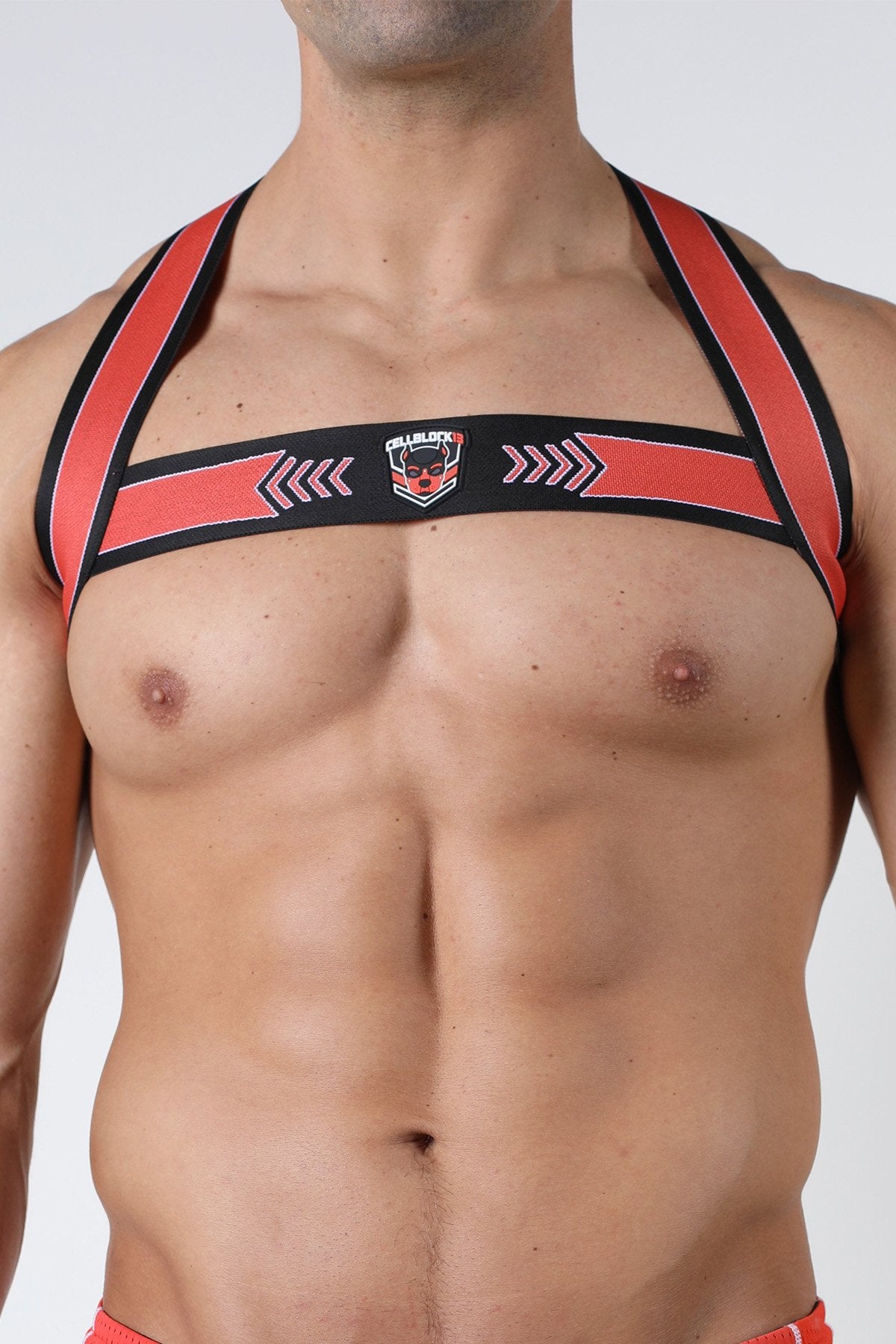 Cellblock 13 Kennel Club Spitfire Elastic Harness - Jockstraps.com