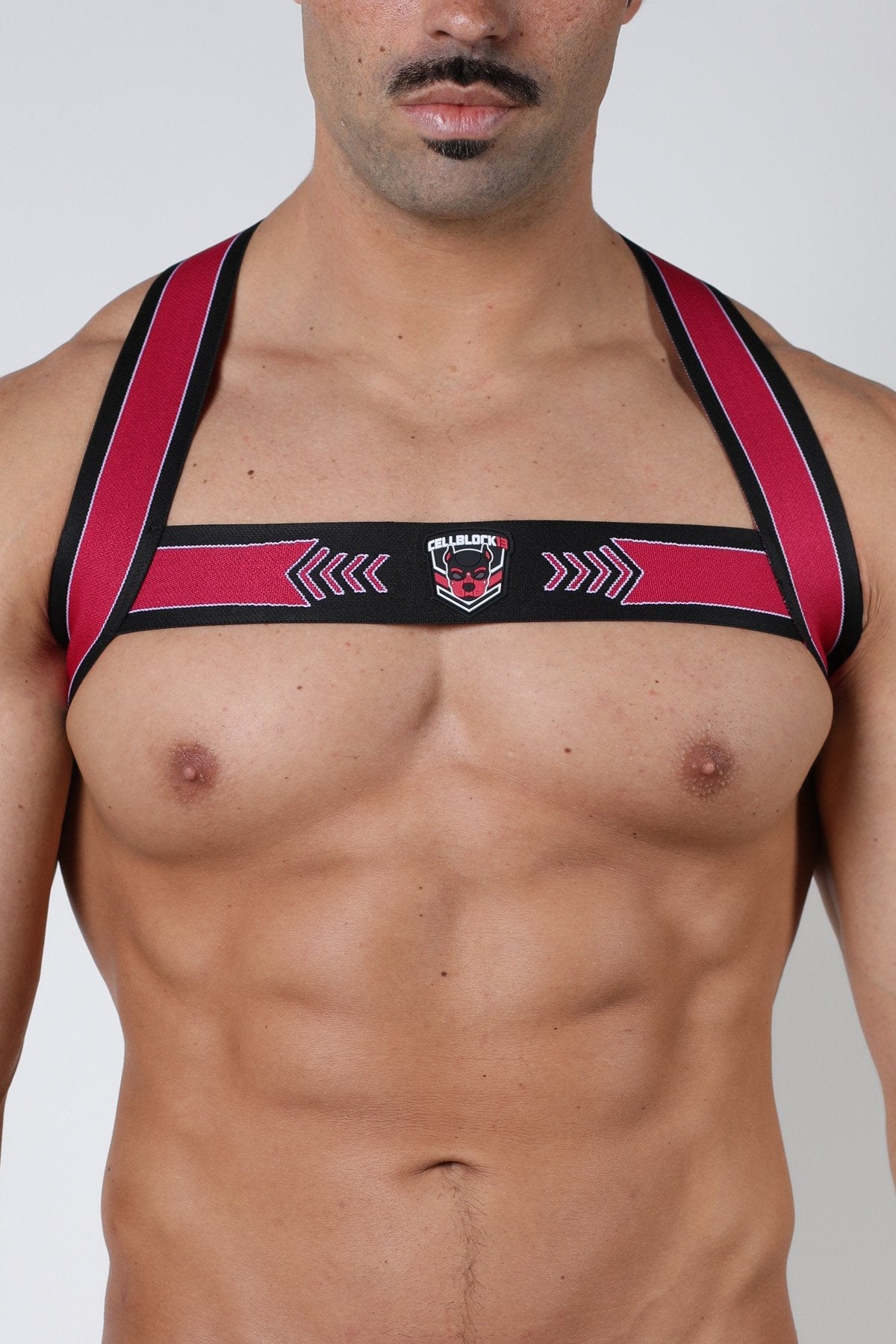 Cellblock 13 Kennel Club Spitfire Elastic Harness - Jockstraps.com