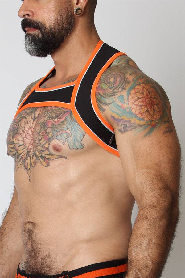 CellBlock 13 Sentinel Harness - Jockstraps.com