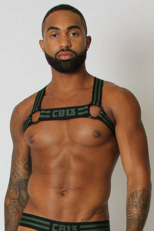CellBlock 13 Torque Elastic Harness CellBlock 13