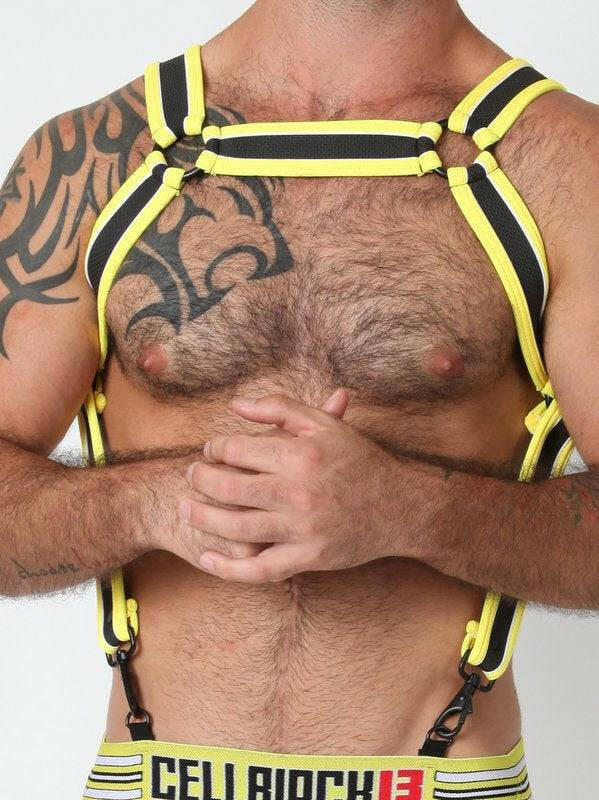CellBlock Rogue Harness CellBlock 13