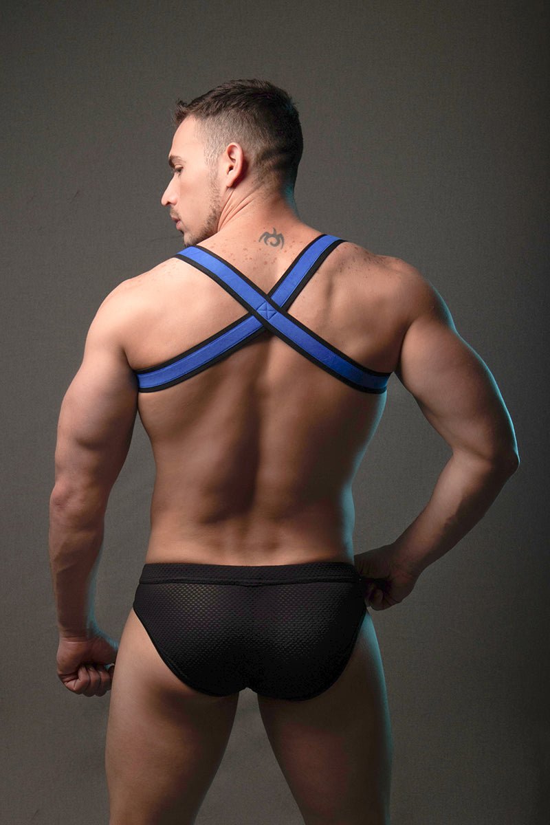 Dale Mas Urban X-Men Harness - Jockstraps.com