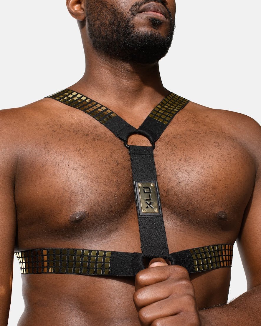 DJX Liquid Circuit Harness - Jockstraps.com