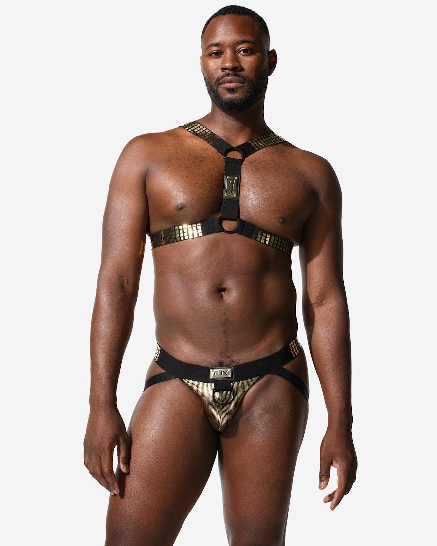 DJX Liquid Circuit Harness - Jockstraps.com