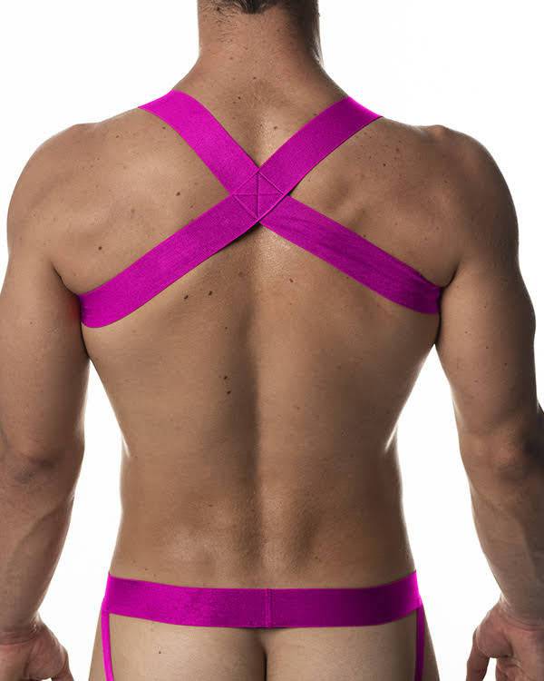 DJX Trough Harness - Jockstraps.com