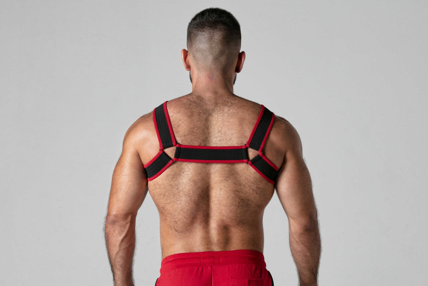 Locker Gear LK0743 Mesh Harness - Jockstraps.com