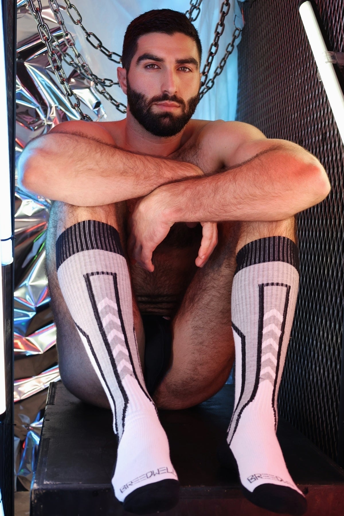 Breedwell Sir Splurge Socks
