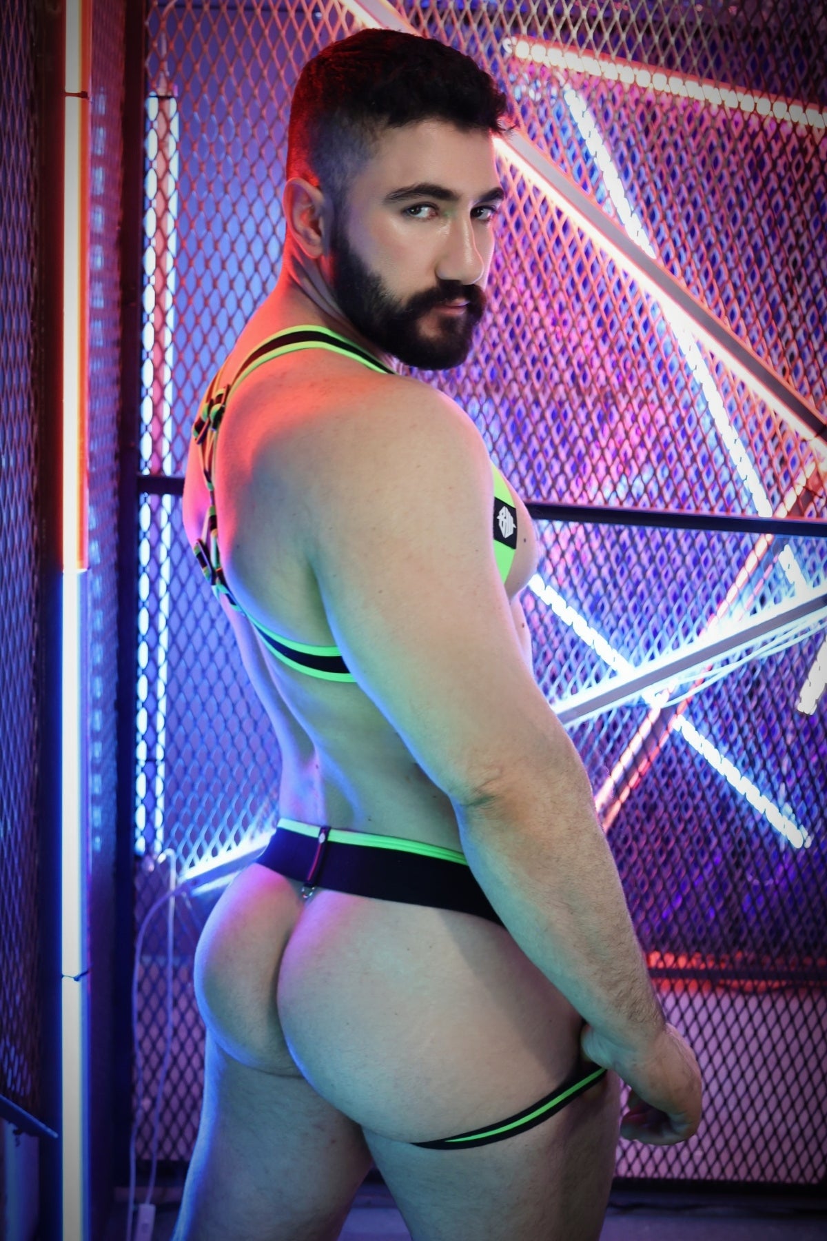 Breedwell After Dark Body Harness (No underwear)
