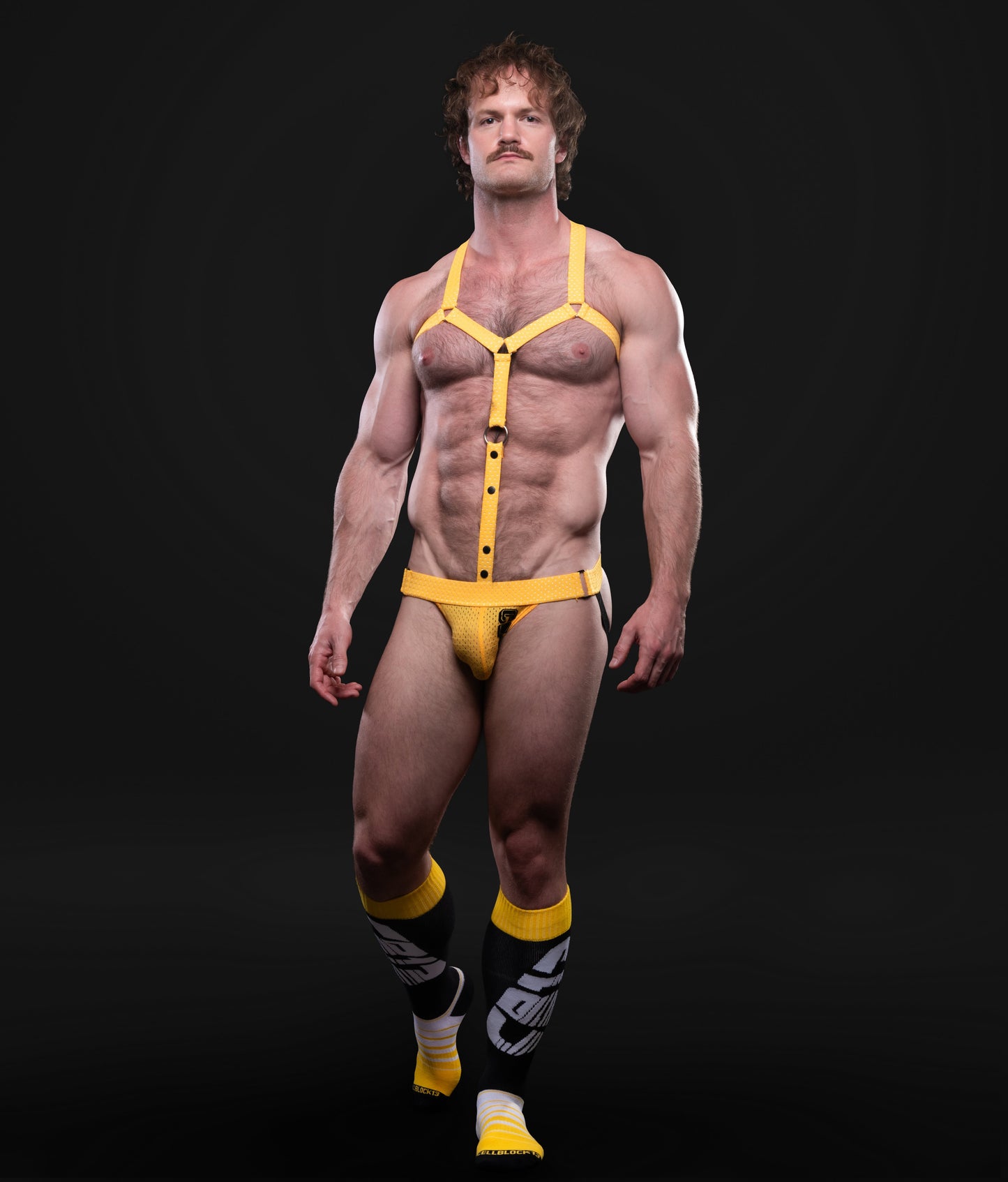 Cellblock 13 Starter Mesh Elastic Body Harness