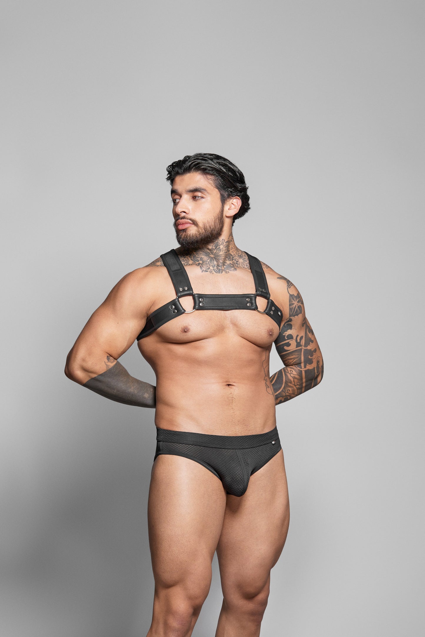 Dale Mas Biker Harness