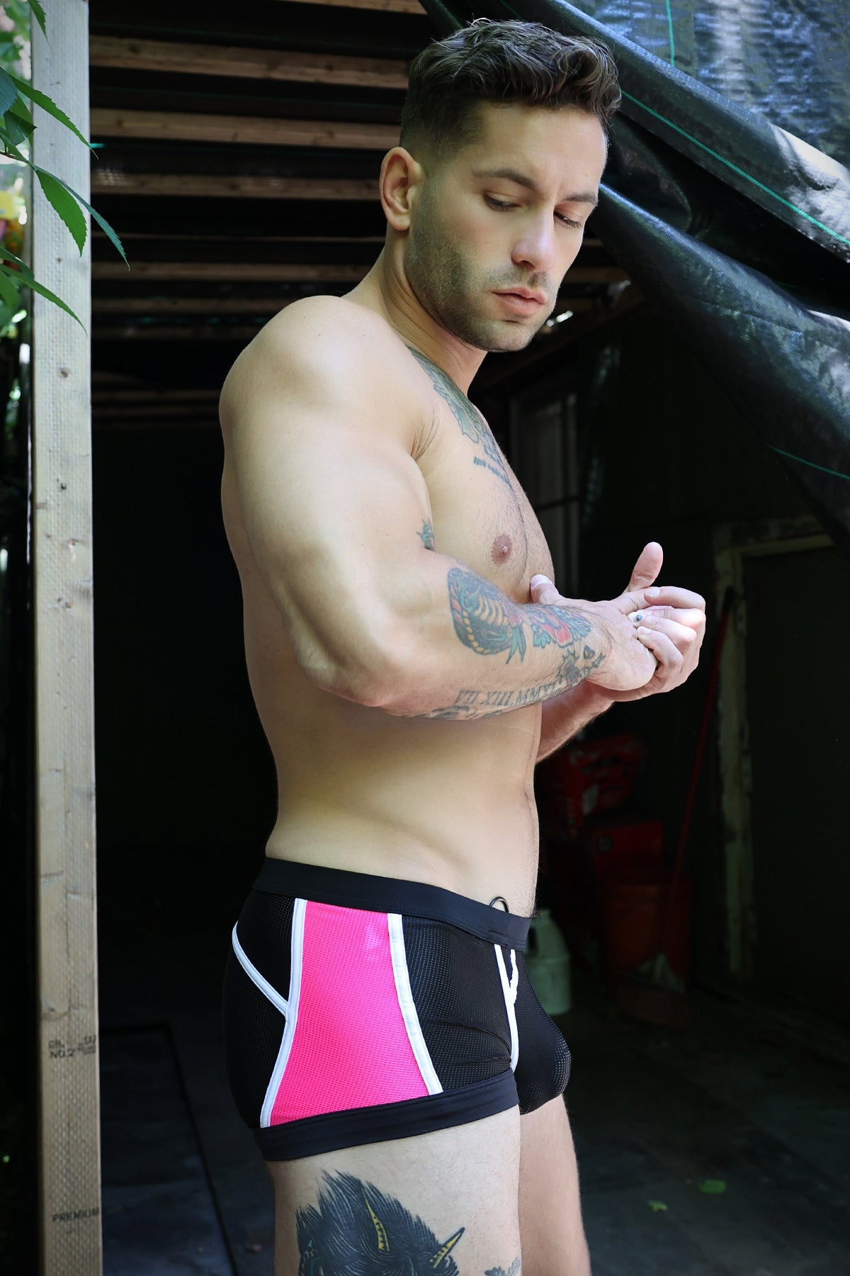 Breedwell Heatwave Trunk