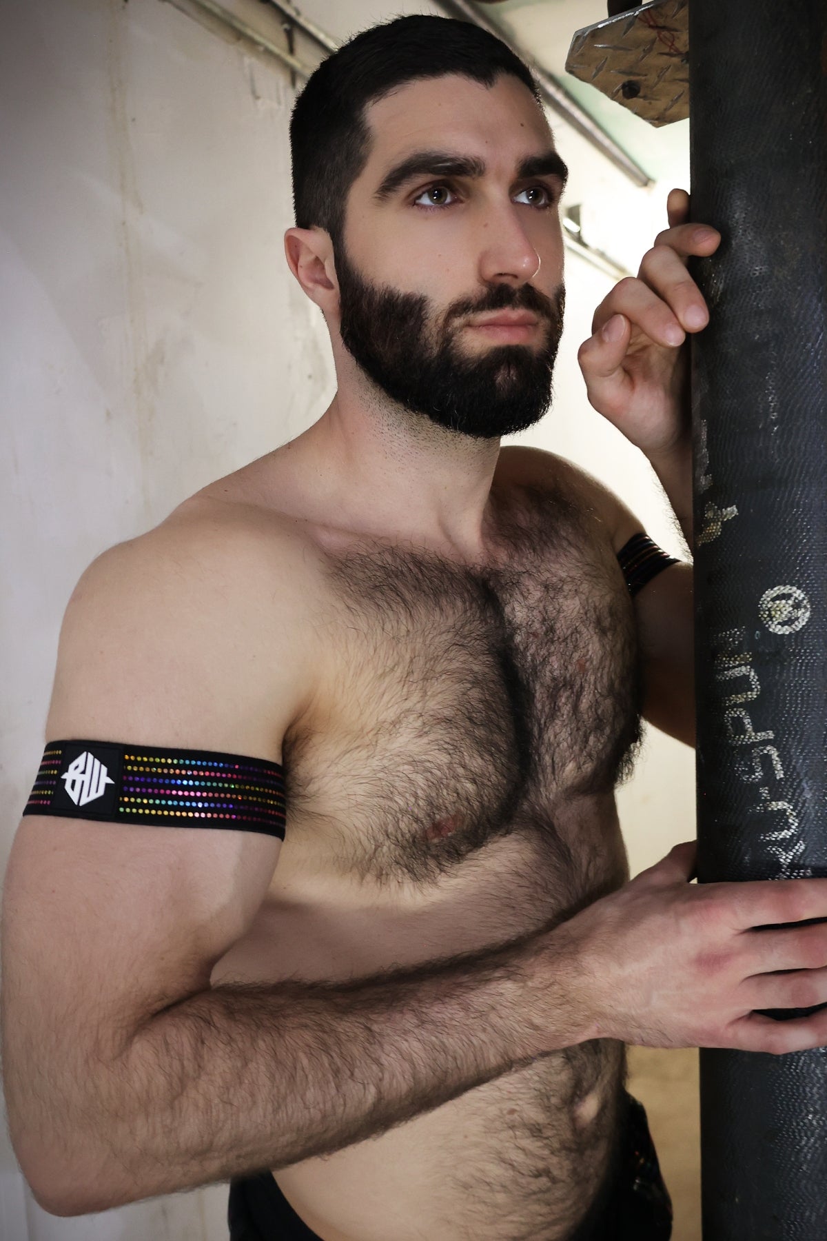 Breedwell Icon Pride Armbands (2-per-pack)