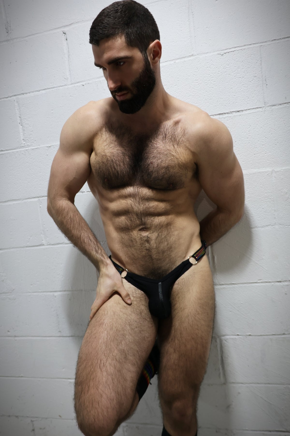 Breedwell Icon Pride Slingshot