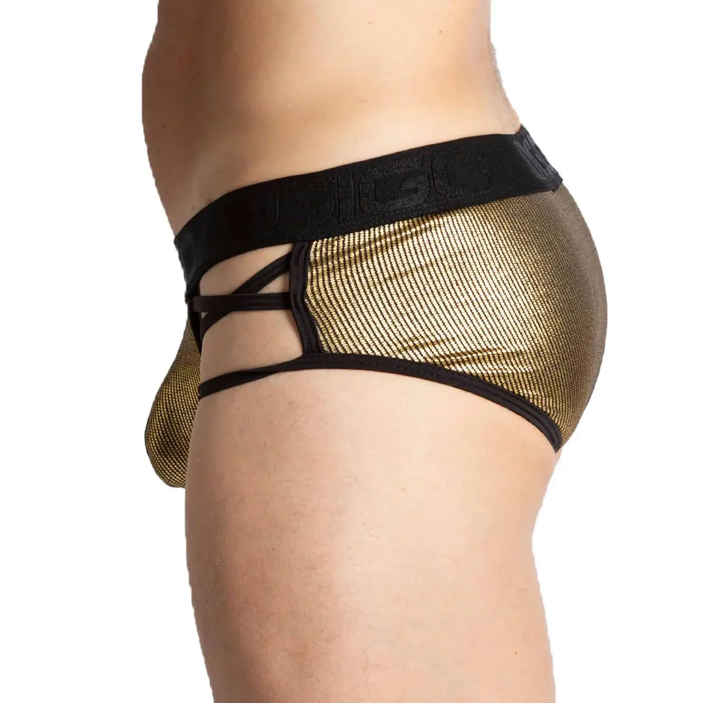 GIGO Shinese Brief