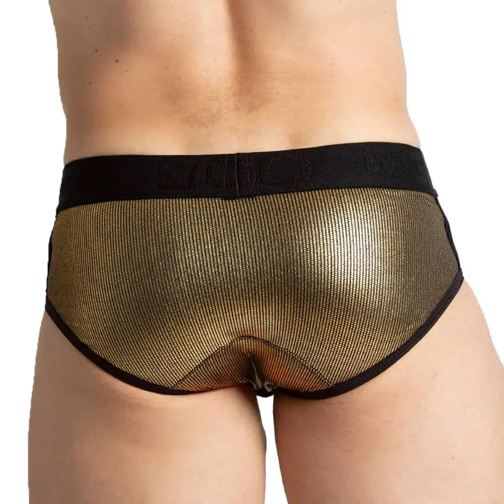 GIGO Shinese Brief