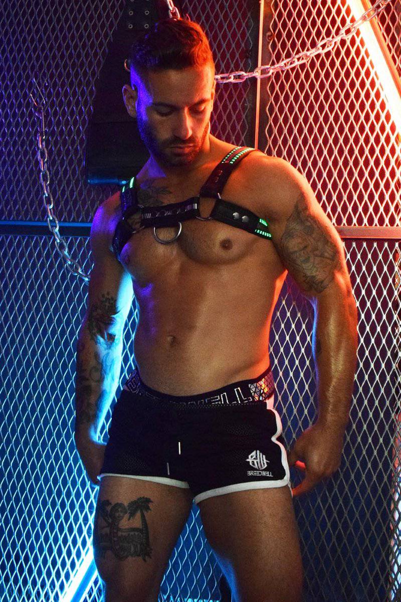 Breedwell Mirror Glow Bulldog Harness - Jockstraps.com