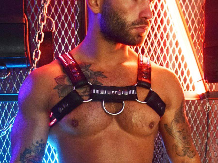 Breedwell Mirror Glow Bulldog Harness - Jockstraps.com