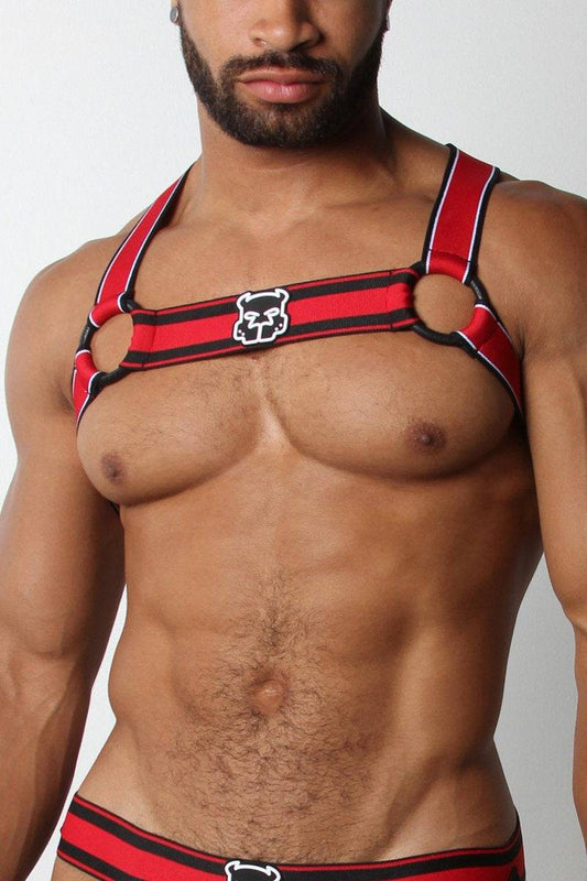 CellBlock 13 Kennel Club Scout Harness - Jockstraps.com