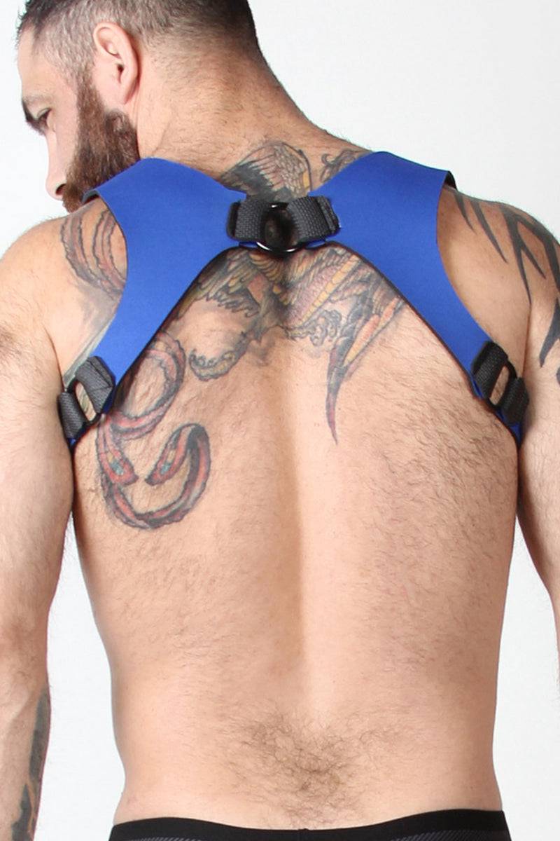 CellBlock 13 Spartan Reversible Harness - Jockstraps.com