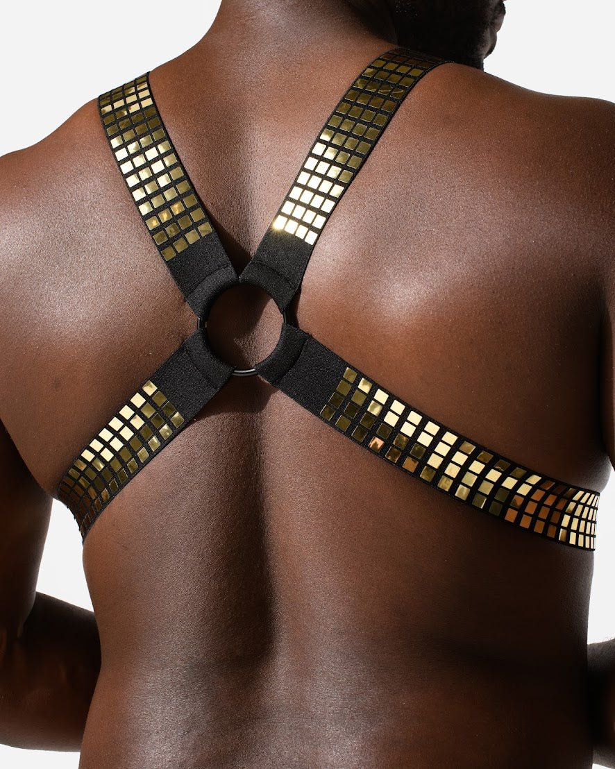 DJX Liquid Circuit Harness – Jockstraps.com